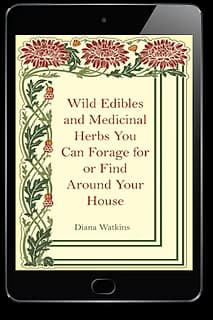 Wild Edibles and Medicinal Herbs digital guide