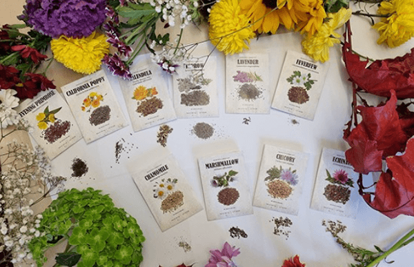 Ten labeled herb seed packets arranged with flowers